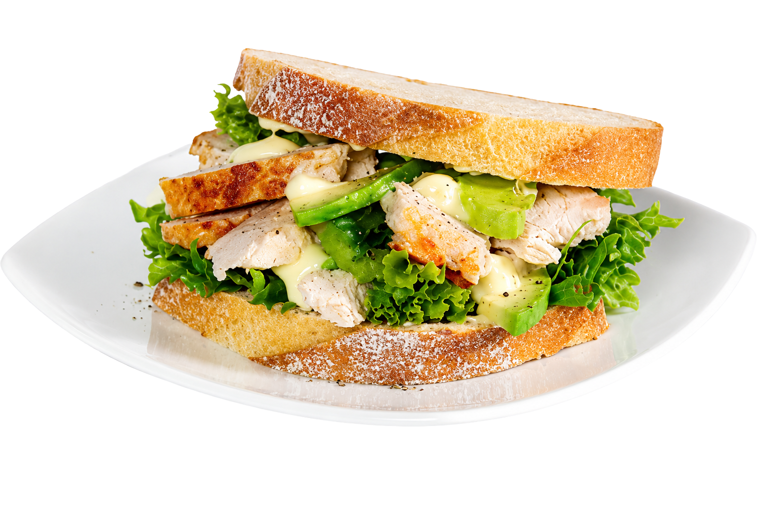 Roast Chicken Meat